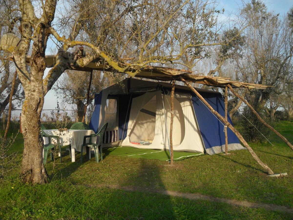 Camping Terreno-Ro-Bi-Li Ξενοδοχείο Cutrofiano Εξωτερικό φωτογραφία